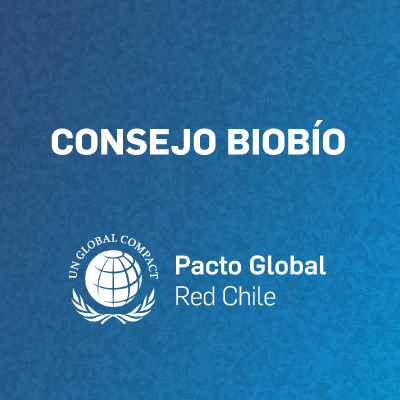 Consejo Región del Biobío
